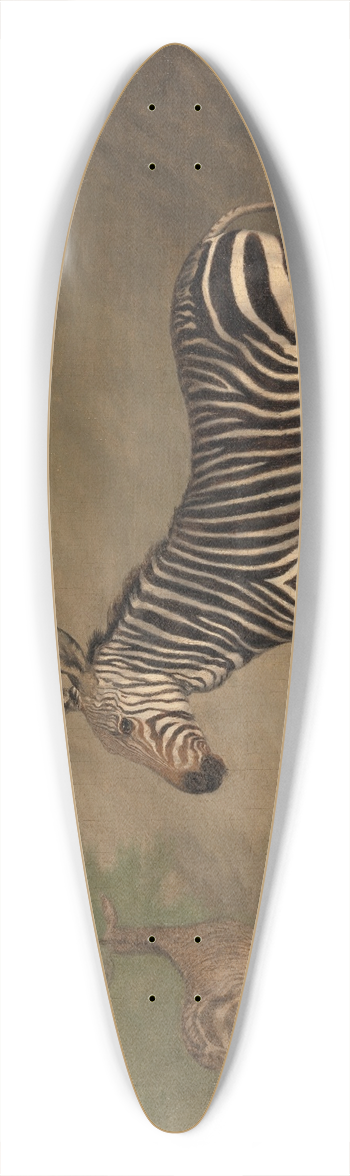 Jacques-Laurent Agasse - Zebra 39.3 inch art pintail longboard deck