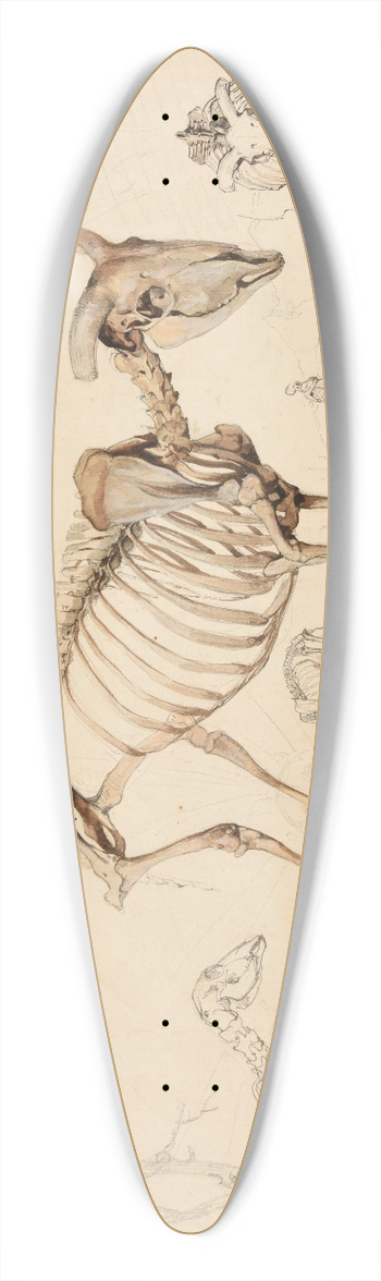 Jacques-Raymond Brascassat - Le gras pturage 39.3 inch art pintail longboard deck