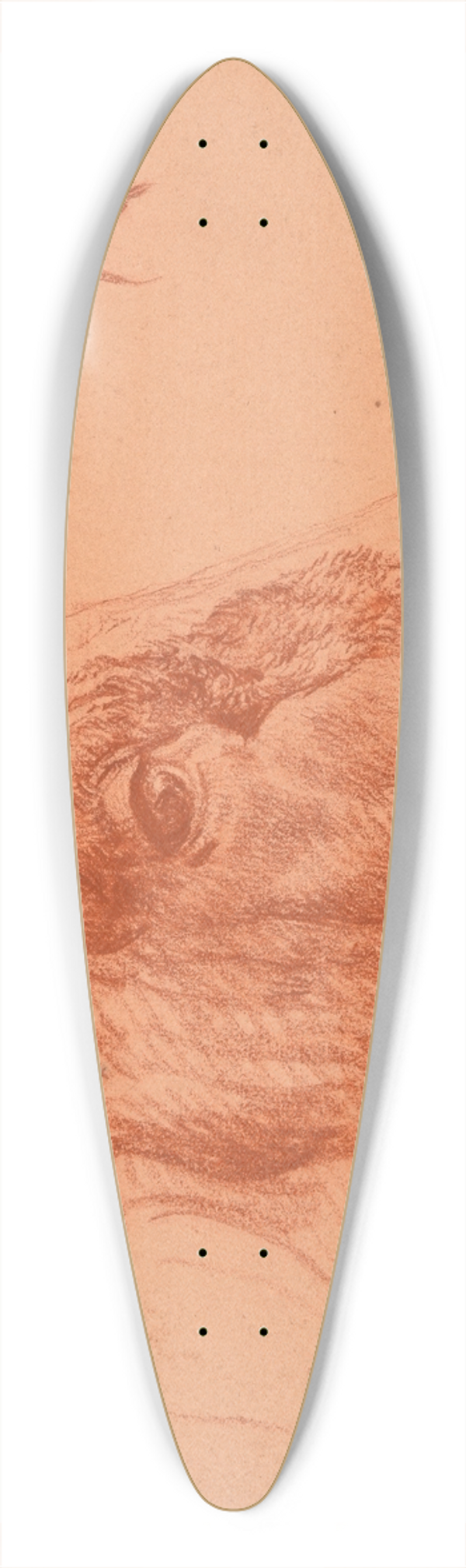 Jacques-Raymond Brascassat - tude de tte de buf 39.3 inch art pintail longboard deck