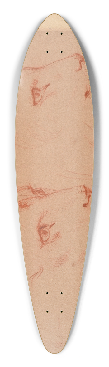 Jacques-Raymond Brascassat - tudes de ttes de lions 39.3 inch art pintail longboard deck