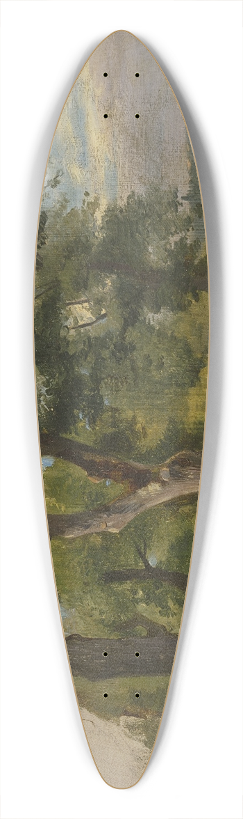 Jakob Becker - Glade 39.3 inch art pintail longboard deck