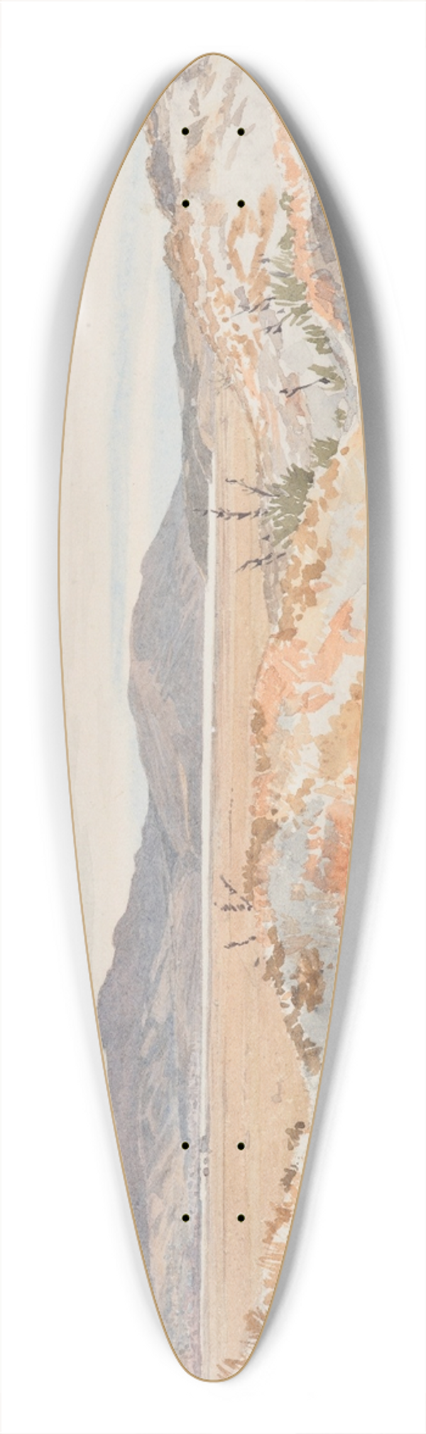 James Crowe Richmond - Dunedin from the Ocean Beach 39.3 inch art pintail longboard deck