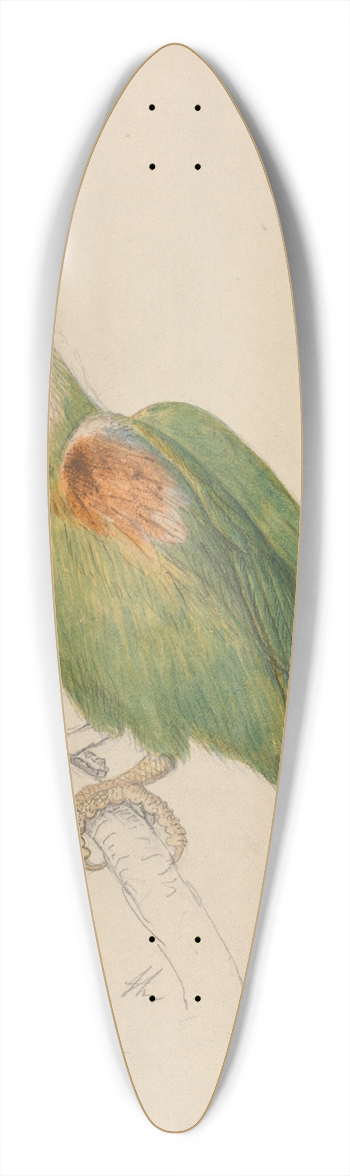 James de Carle Sowerby - A Parrot 39.3 inch art pintail longboard deck