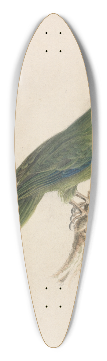 James de Carle Sowerby - A Parrot 39.3 inch art pintail longboard deck