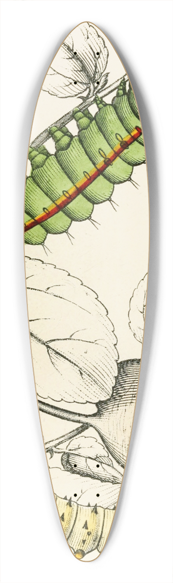 James Duncan - Caterpillar of Saturnia Cynthia, Saturnia Mylitta 39.3 inch art pintail longboard deck