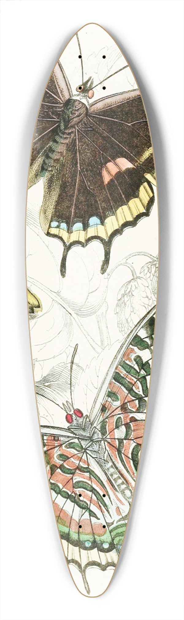 James Duncan - Charaxes Jasius 39.3 inch art pintail longboard deck