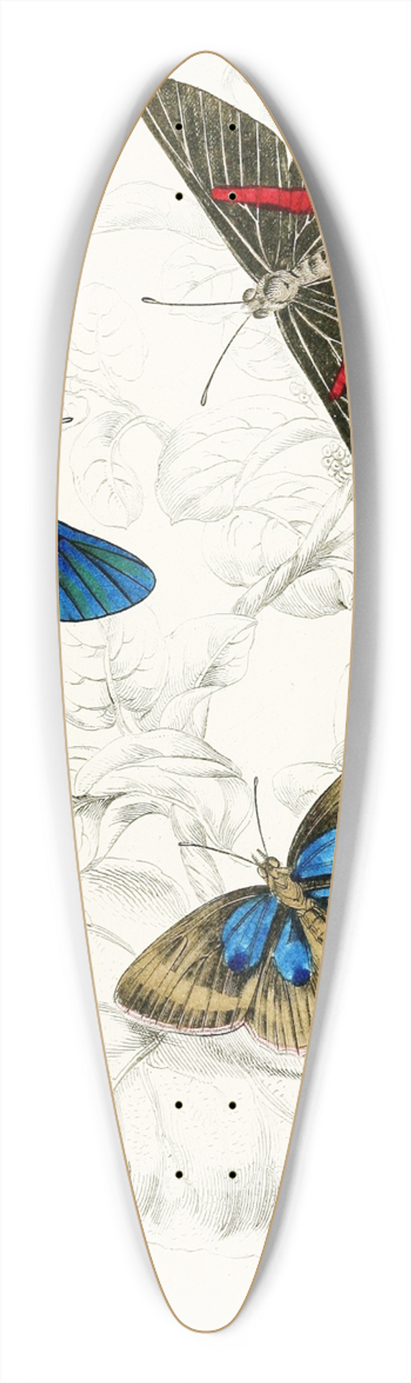 James Duncan - Erycina Melibaeus,Laxura Alcides 39.3 inch art pintail longboard deck