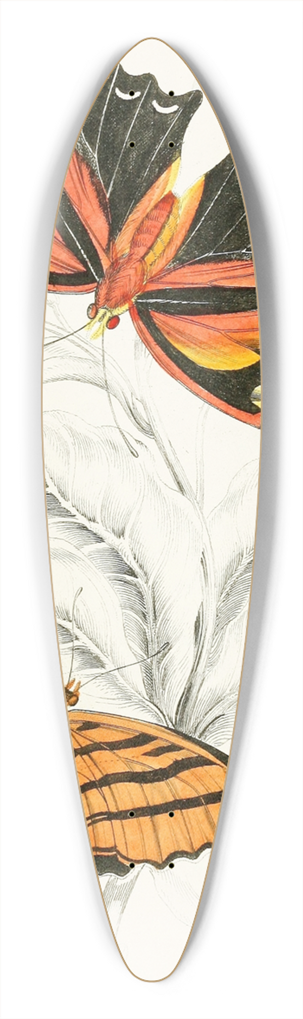 James Duncan - Marius Thetis, Fabius Hippona 39.3 inch art pintail longboard deck