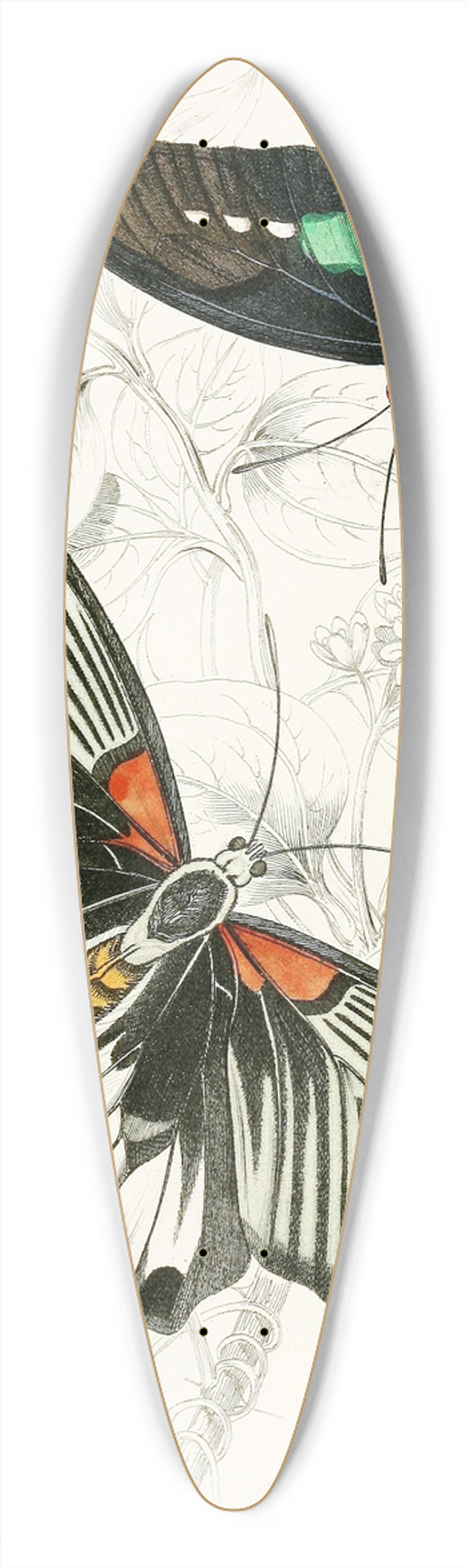 James Duncan - Papilio Memnon,Pap Aeneas 39.3 inch art pintail longboard deck