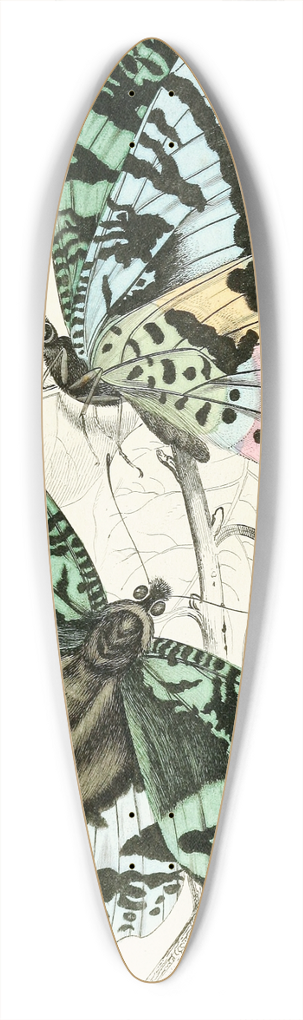 James Duncan - Rhipheus Dasycephalus 39.3 inch art pintail longboard deck