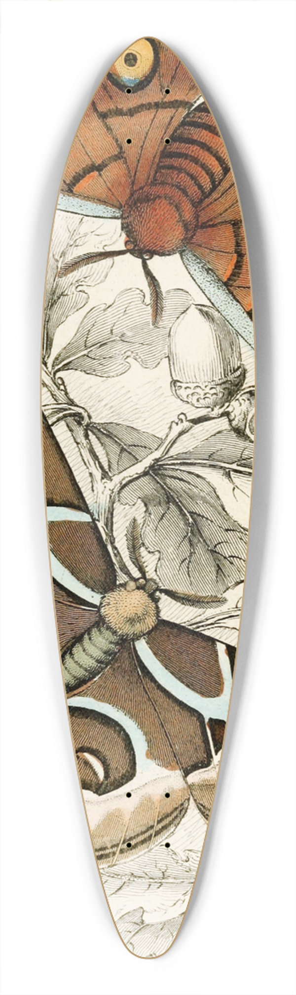 James Duncan - Saturnia Cynthia, Saturnia Mylitta 39.3 inch art pintail longboard deck