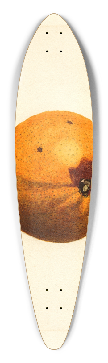 James Marion Shull - Citrus sinensis 39.3 inch art pintail longboard deck