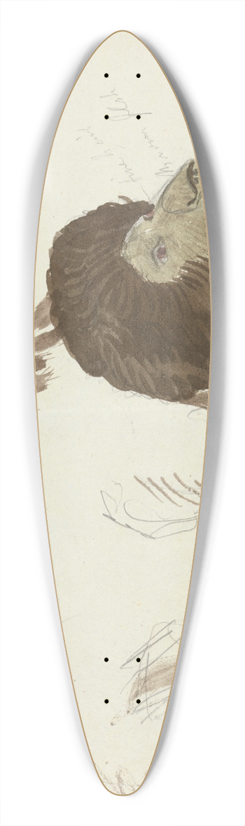 James Sowerby - A Bear. 39.3 inch art pintail longboard deck