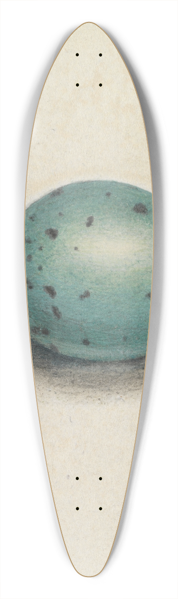 James Sowerby - A Birds Egg 39.3 inch art pintail longboard deck