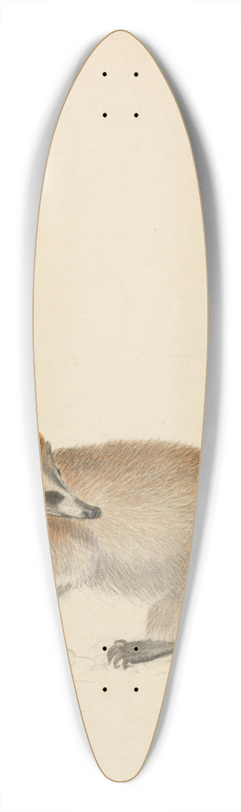 James Sowerby - A Coatimundi 39.3 inch art pintail longboard deck