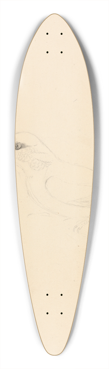 James Sowerby - A Kingfisher 39.3 inch art pintail longboard deck