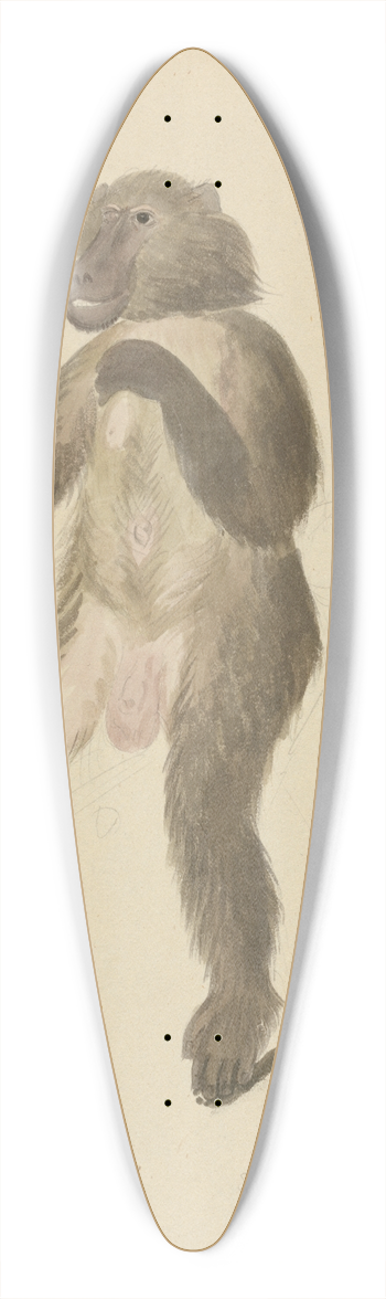 James Sowerby - A mandrill 39.3 inch art pintail longboard deck