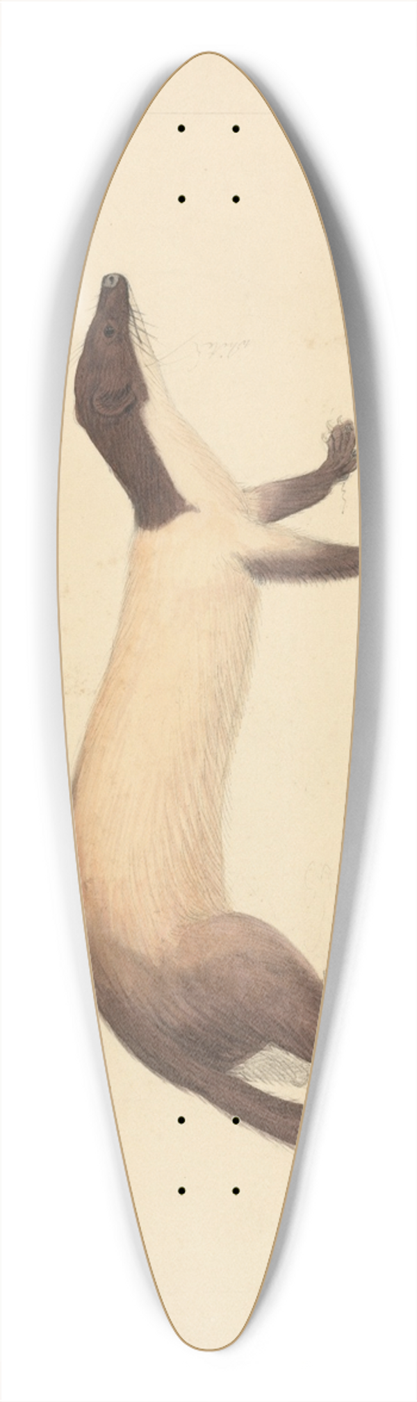 James Sowerby - A Weasel 39.3 inch art pintail longboard deck