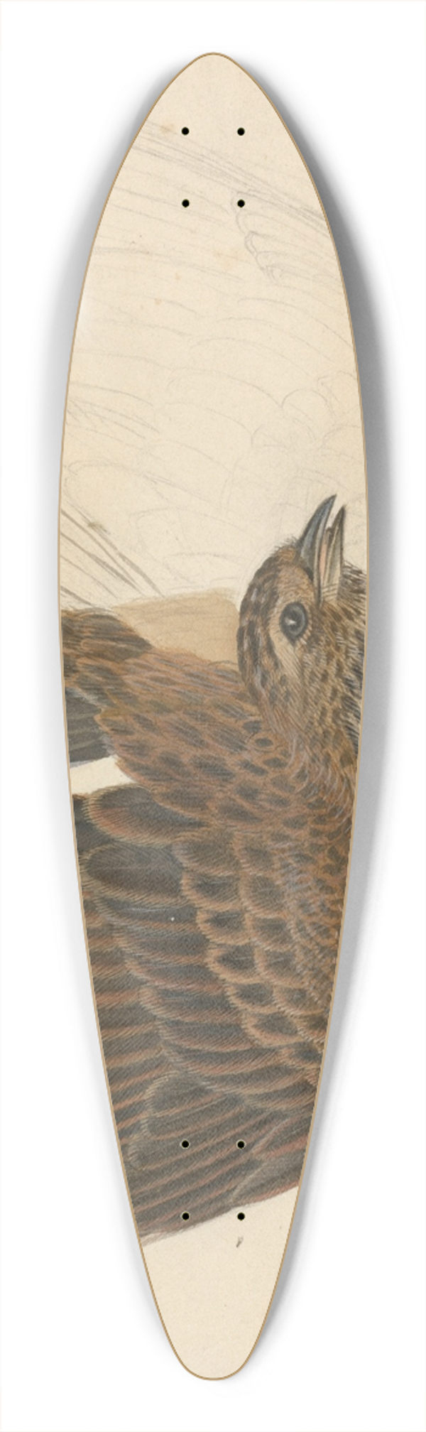 James Sowerby - Eurasian skylark. 39.3 inch art pintail longboard deck