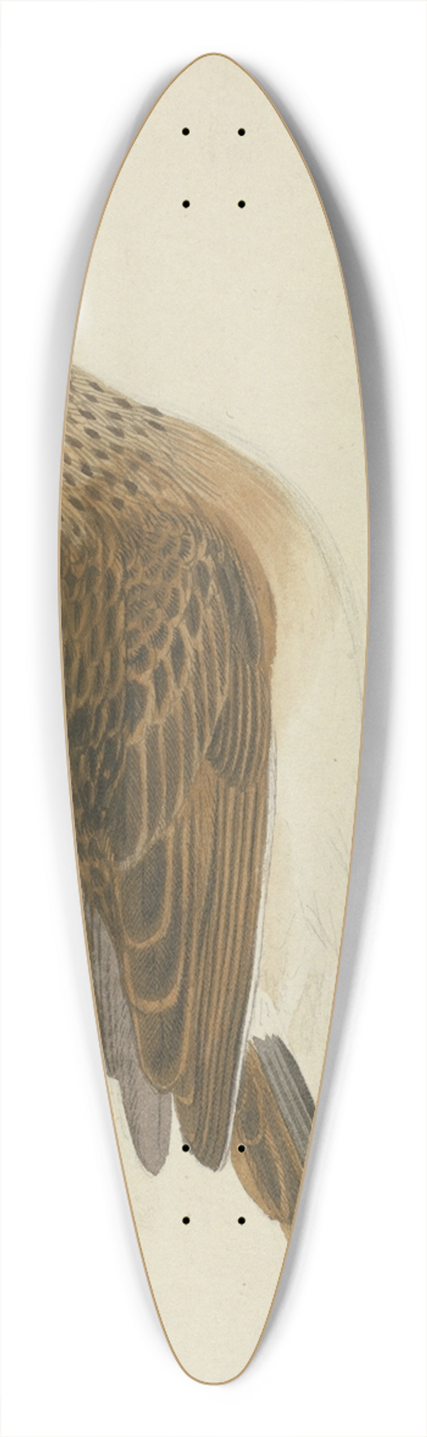 James Sowerby - Eurasian skylark 39.3 inch art pintail longboard deck