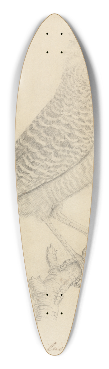 James Sowerby - Tufted Antshrike 39.3 inch art pintail longboard deck