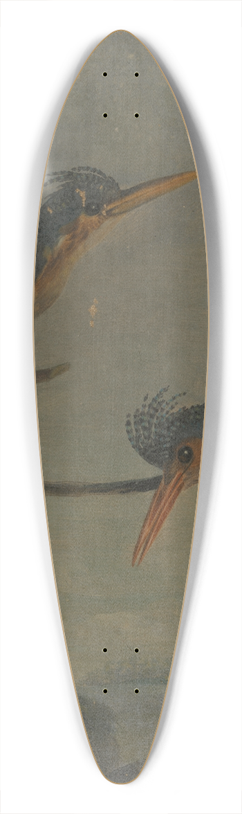 James Sowerby - Two Kingfishers beside a Lake 39.3 inch art pintail longboard deck