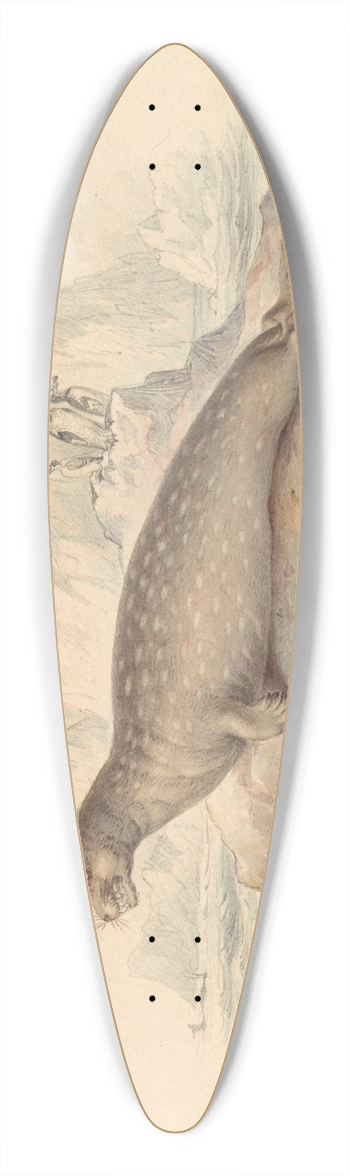 James Stewart - The Leopard Seal 39.3 inch art pintail longboard deck