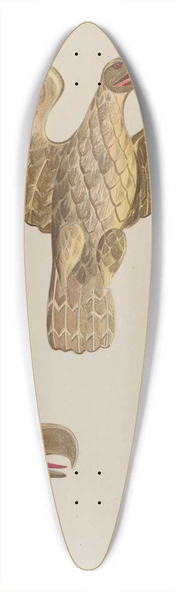 James Vail - Gilt Eagle 39.3 inch art pintail longboard deck