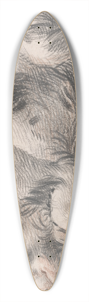 James Ward - Sleeping Pig 39.3 inch art pintail longboard deck