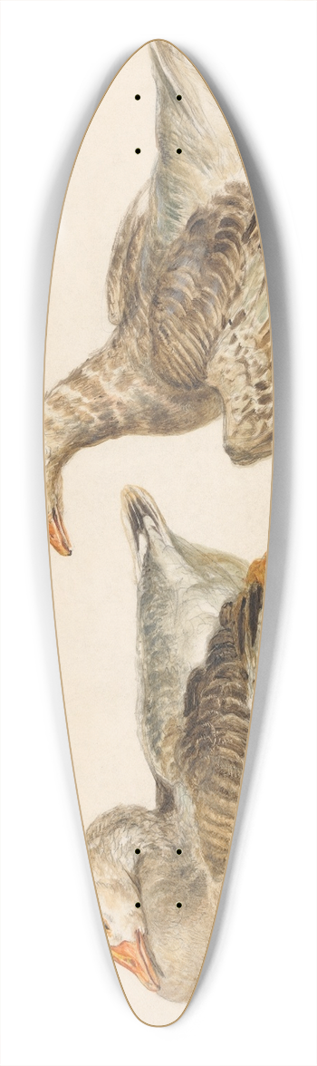 James Ward - Studies of Geese 39.3 inch art pintail longboard deck