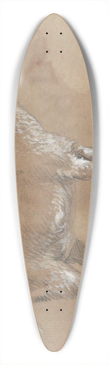 James Ward - Study of a Kid 39.3 inch art pintail longboard deck