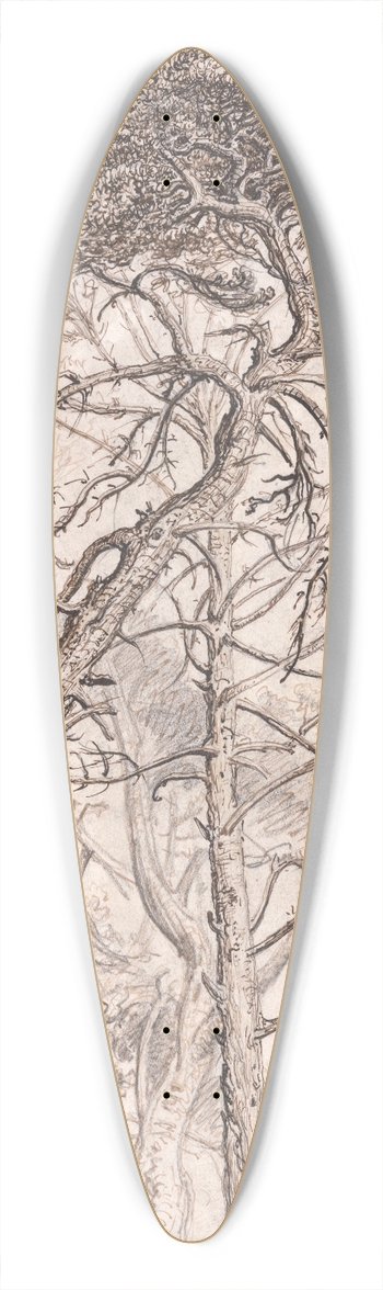 James Ward - Study of Trees 39.3 inch art pintail longboard deck