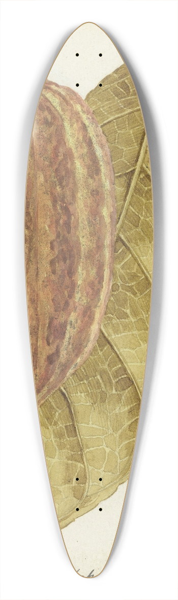 Jan Brandes - Cacao 39.3 inch art pintail longboard deck