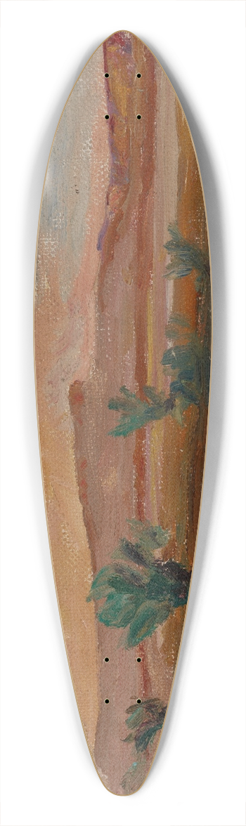 Jan Cigliski - Sahara (Desert after a Rain) 39.3 inch art pintail longboard deck