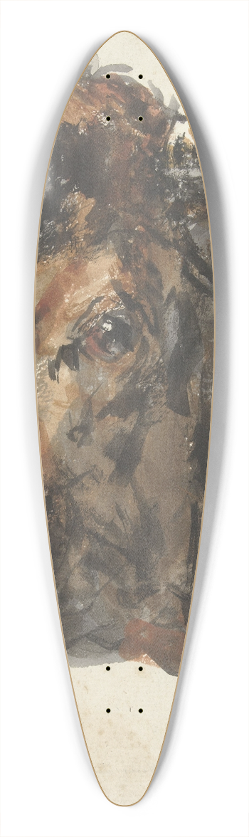 Jan Kobell II - Kop van een koe 39.3 inch art pintail longboard deck