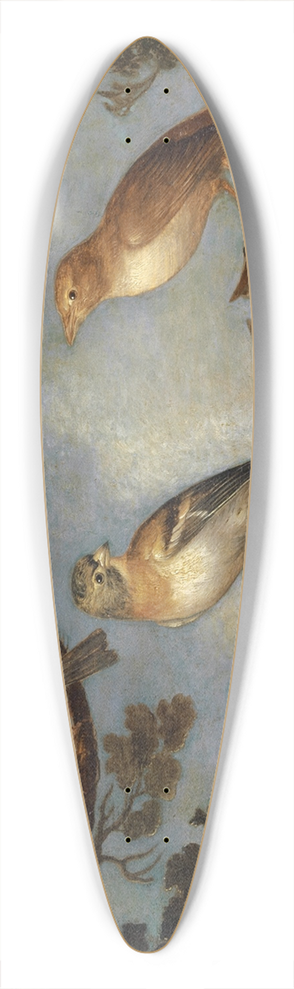 Jan Van Kessel The Elder - Birds on the Branches of a Tree 39.3 inch art pintail longboard deck