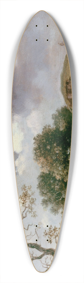 Jan Wijnants - Landscape 39.3 inch art pintail longboard deck