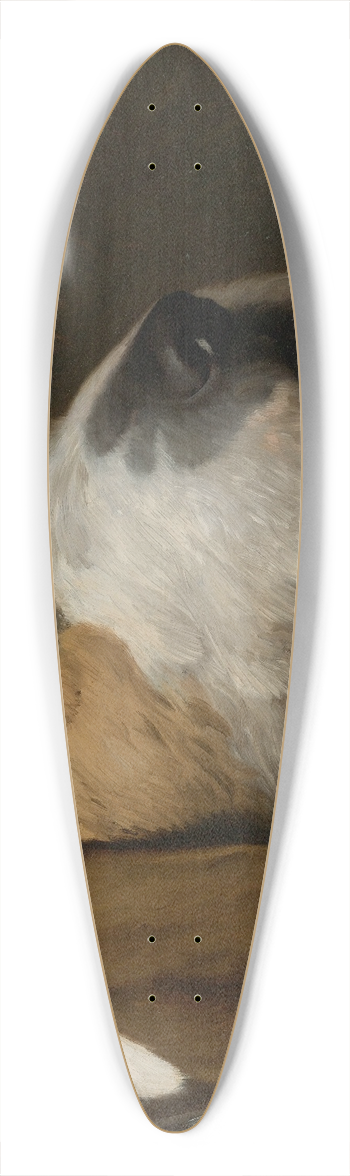 Jean-Lon Grme - Marengo 39.3 inch art pintail longboard deck