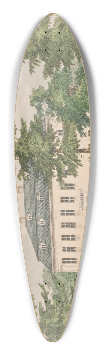 Jens Holm - Charlottenlund Slot 39.3 inch art pintail longboard deck