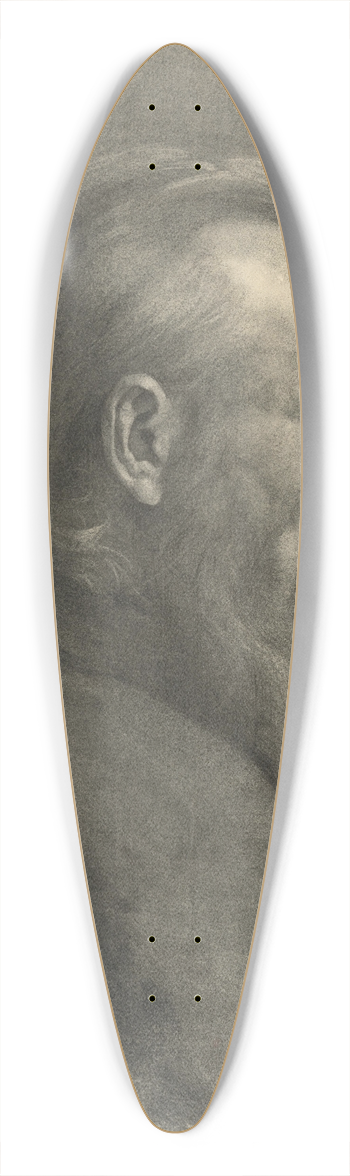 Jlius der - Podobize mua s bradou 39.3 inch art pintail longboard deck