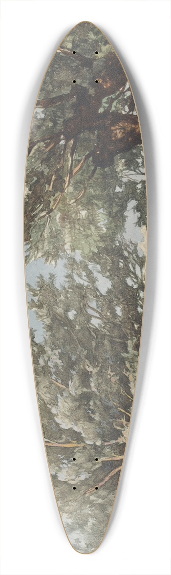 Johan Hendrik Weissenbruch - Landschap met een sloot waar twee jongens vissen 39.3 inch art pintail longboard deck