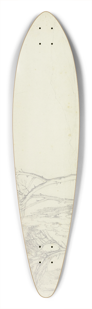 Johannes Thomas - View of Frascati 39.3 inch art pintail longboard deck