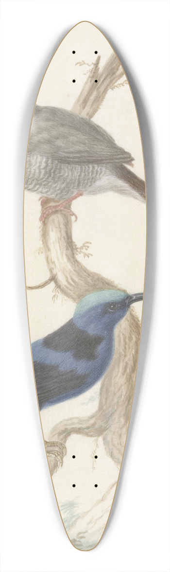 Johannes van Bronckhorst - Bresiljaan en Colibri 39.3 inch art pintail longboard deck