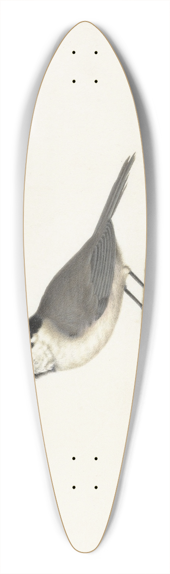 Johannes van Bronckhorst - Glanskop 39.3 inch art pintail longboard deck