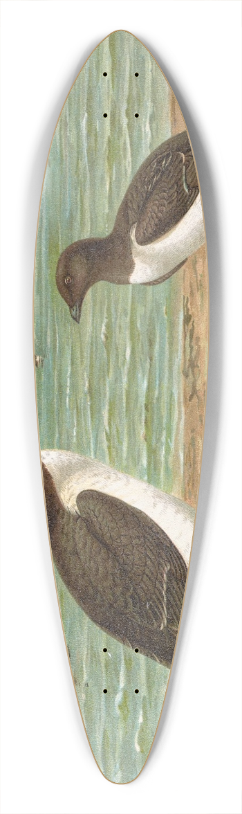 Johann Friedrich Naumann - Alca torda 39.3 inch art pintail longboard deck