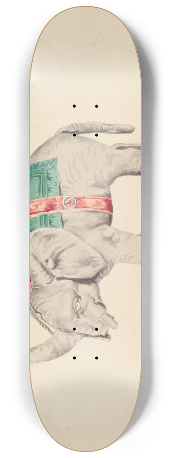 Charles Moss - Bank  Elephant 8.25 inch art skate deck