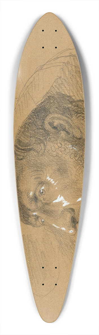 Johann Peter Krafft - Kopfstudie zur Szene aus dem Tiroler Freiheitskampf 39.3 inch art pintail longboard deck