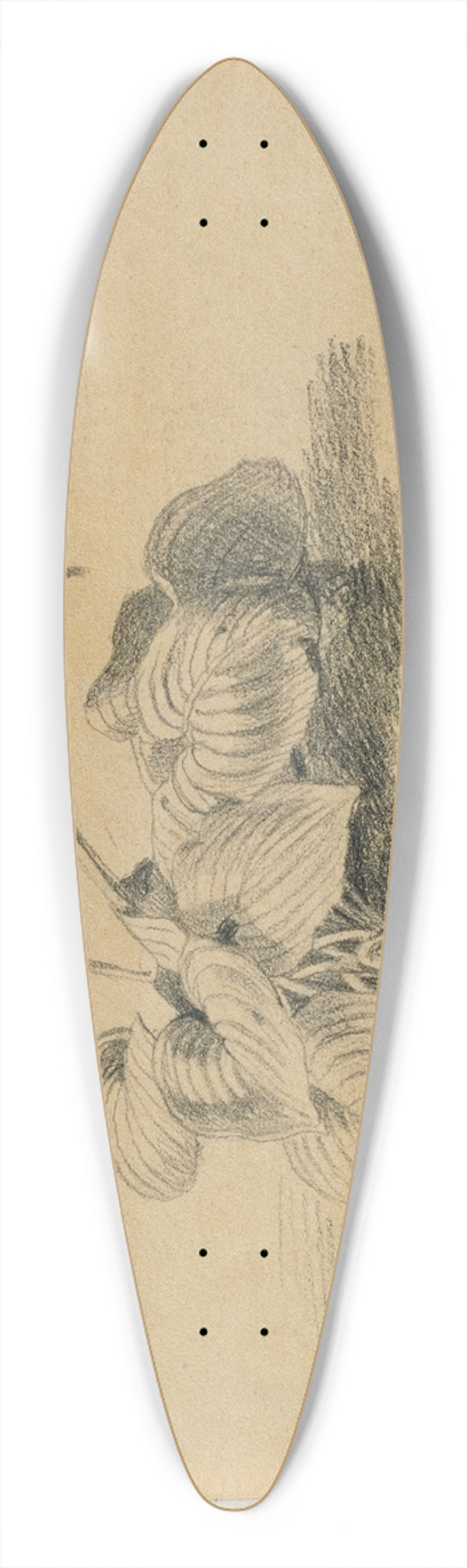Johann Peter Krafft - Studie einer Blattpflanze 39.3 inch art pintail longboard deck