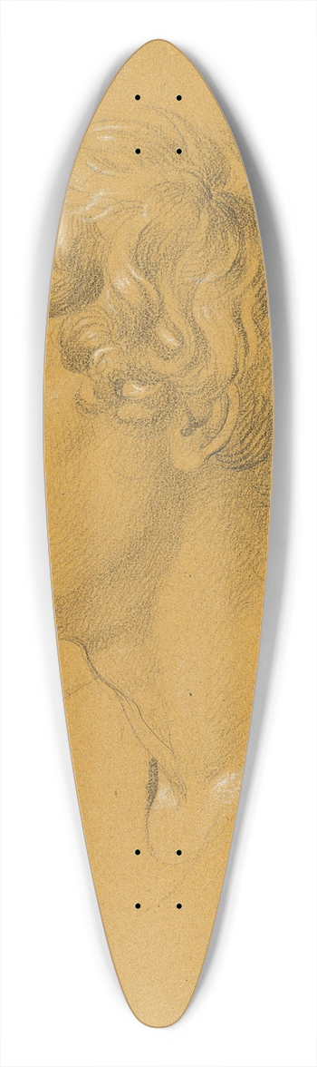 Johann Peter Krafft - Studie eines Kopfes 39.3 inch art pintail longboard deck