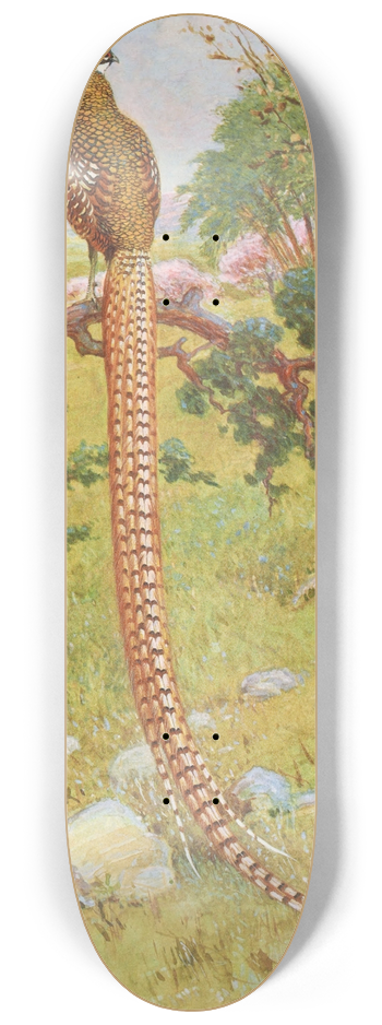 Charles Robert Knight - Reevess Pheasant 8.25 inch art skate deck